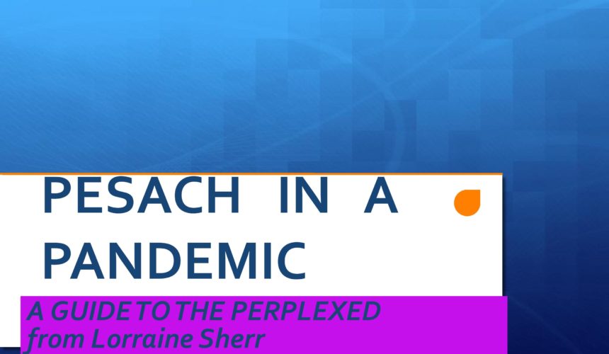 Pesach in a Pandemic